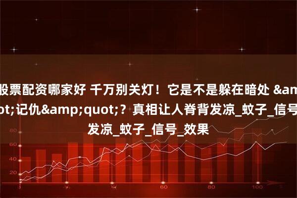 股票配资哪家好 千万别关灯！它是不是躲在暗处 &quot;记仇&quot;？真相让人脊背发凉_蚊子_信号_效果