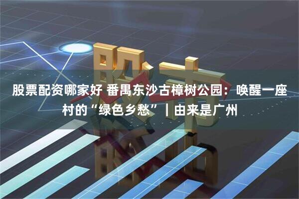 股票配资哪家好 番禺东沙古樟树公园：唤醒一座村的“绿色乡愁”｜由来是广州