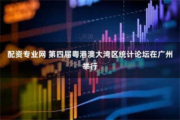 配资专业网 第四届粤港澳大湾区统计论坛在广州举行